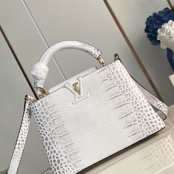 LV M48865喜马拉雅 02