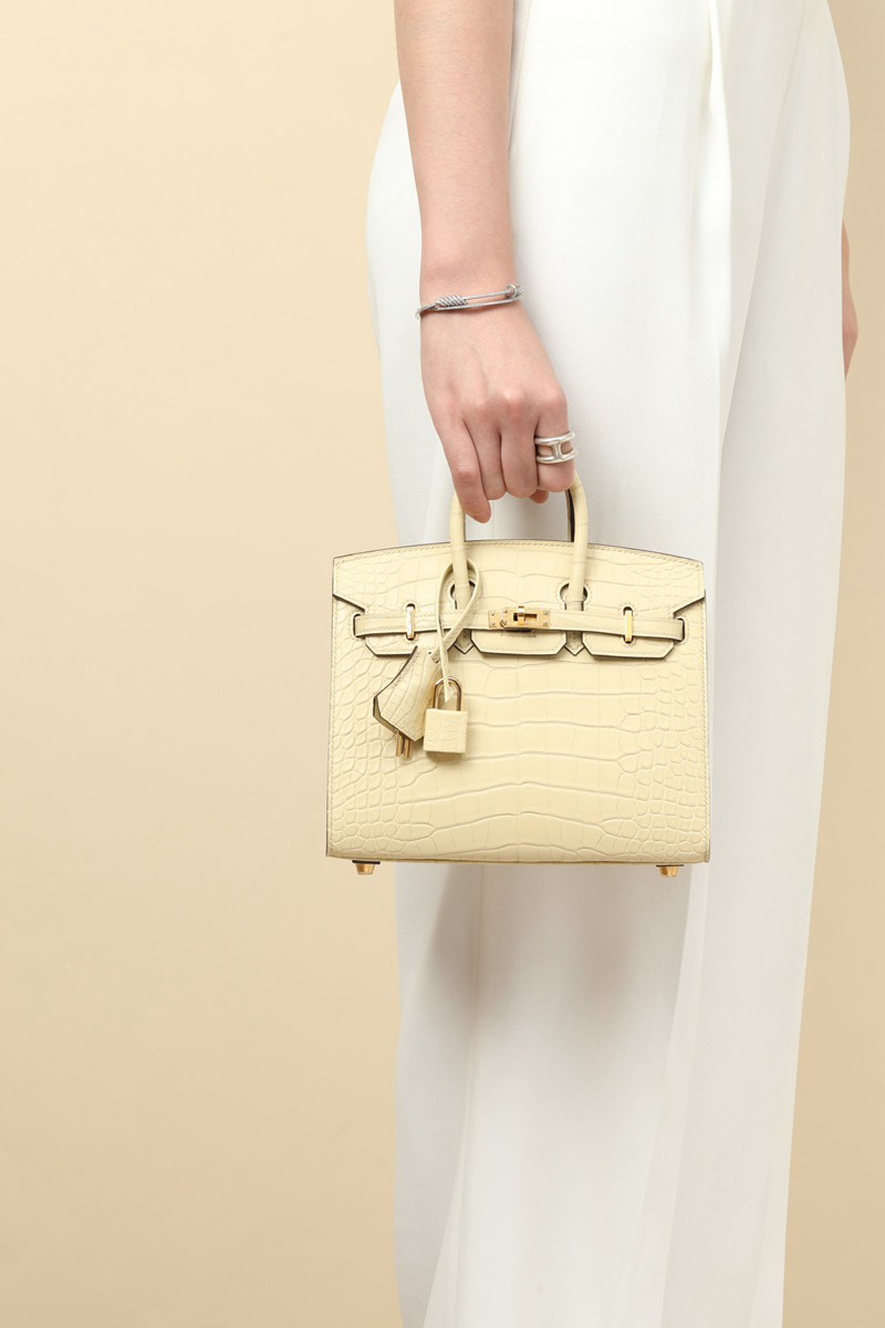 Hermes Birkin 20cm Bag Alligator Leather 01