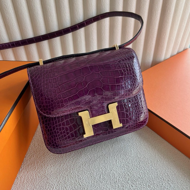 Hermes Mini Constance 19 Bag Shiny Alligator Crocodile 03