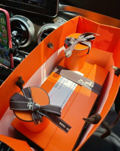 Hermes Della Cavalleria Mini Bag Epsom Leather Review