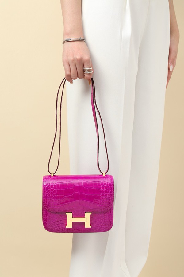 Hermes Mini Constance 19 Bag Niloticus Crocodile Leather 04