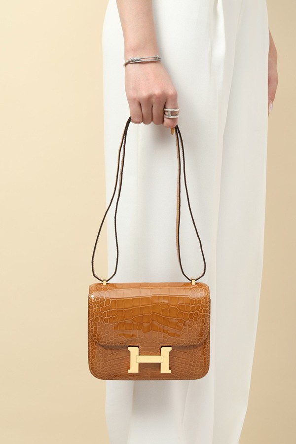 Hermes Mini Constance 19 Bag Niloticus Crocodile Leather 05