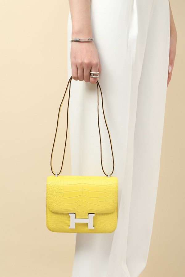 Hermes Mini Constance 19 Bag Niloticus Crocodile Leather 07