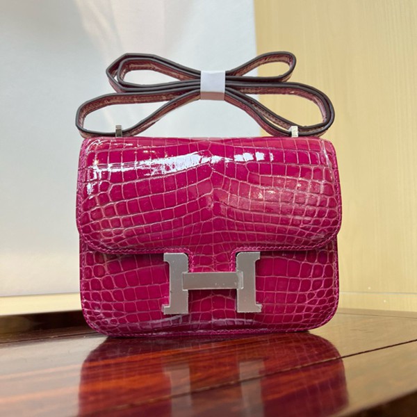 Hermes Mini Constance 19 Bag Shiny Alligator Crocodile 08