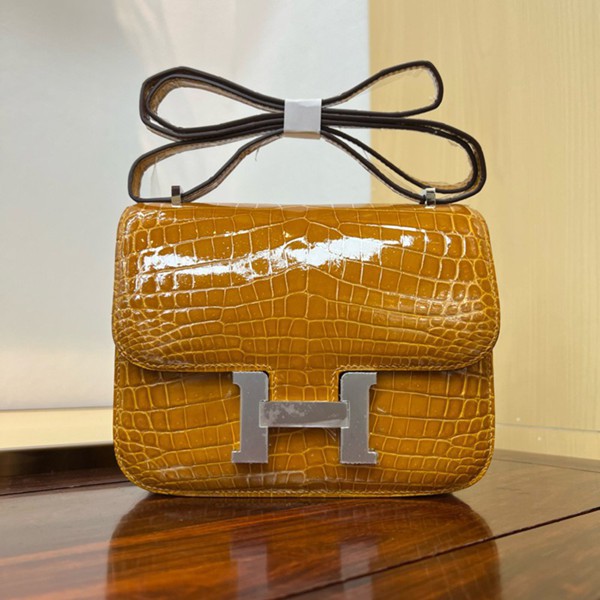 Hermes Mini Constance 19 Bag Shiny Alligator Crocodile 10