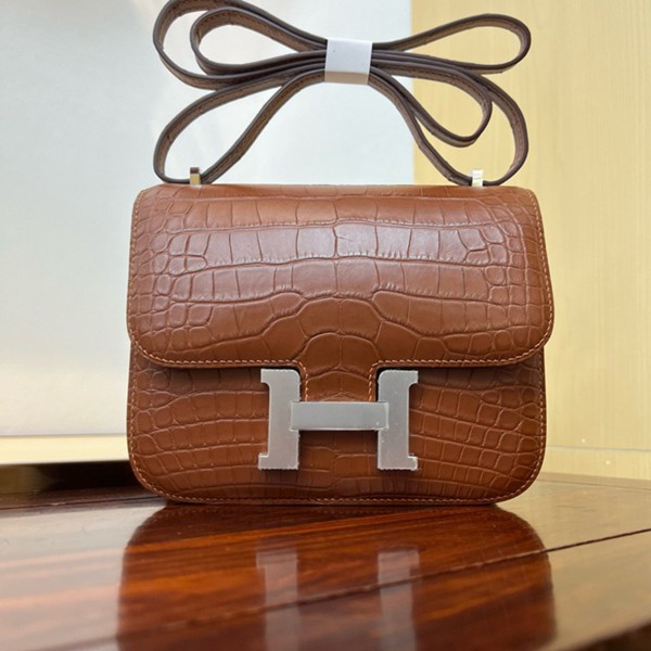 Hermes Mini Constance 19 Bag Shiny Alligator Crocodile 21