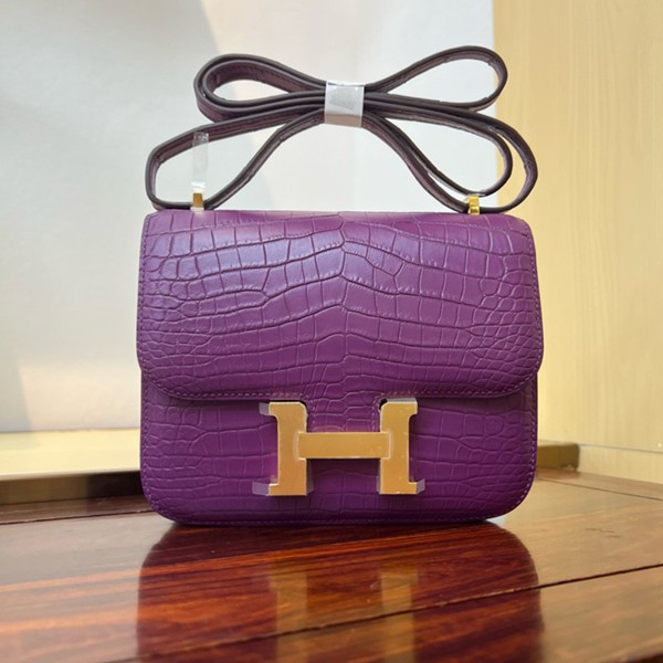 Hermes Mini Constance 19 Bag Shiny Alligator Crocodile 27